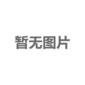 ZWJW 系列无线传输数显扭矩扳手