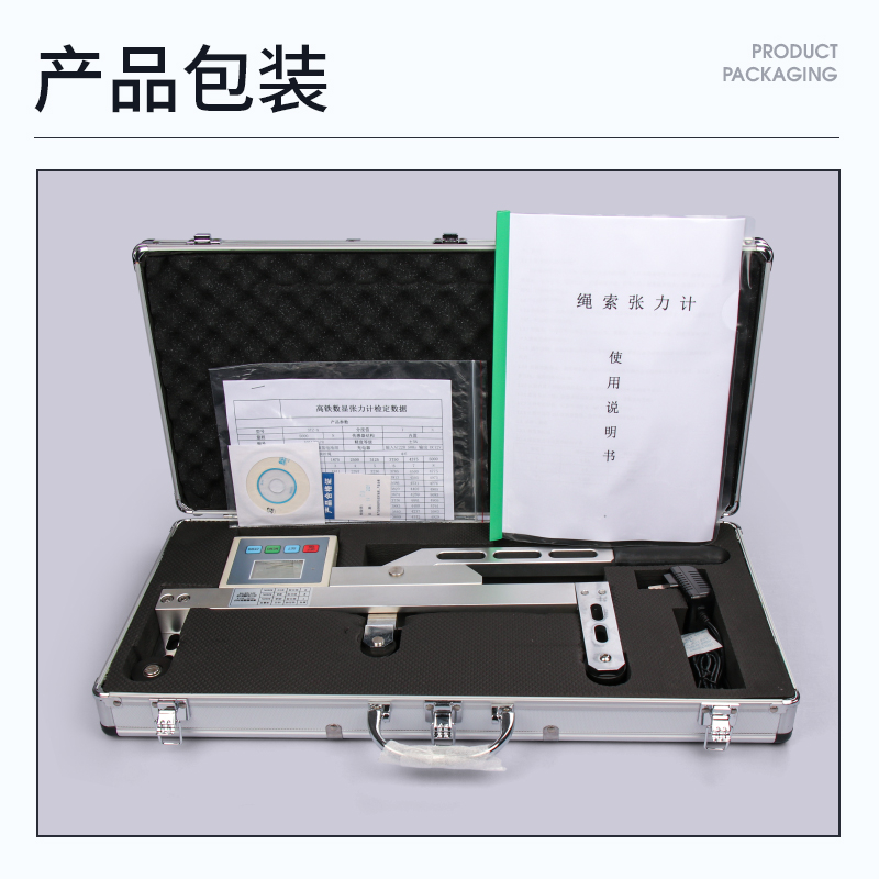 SGZ 高铁数显张力计